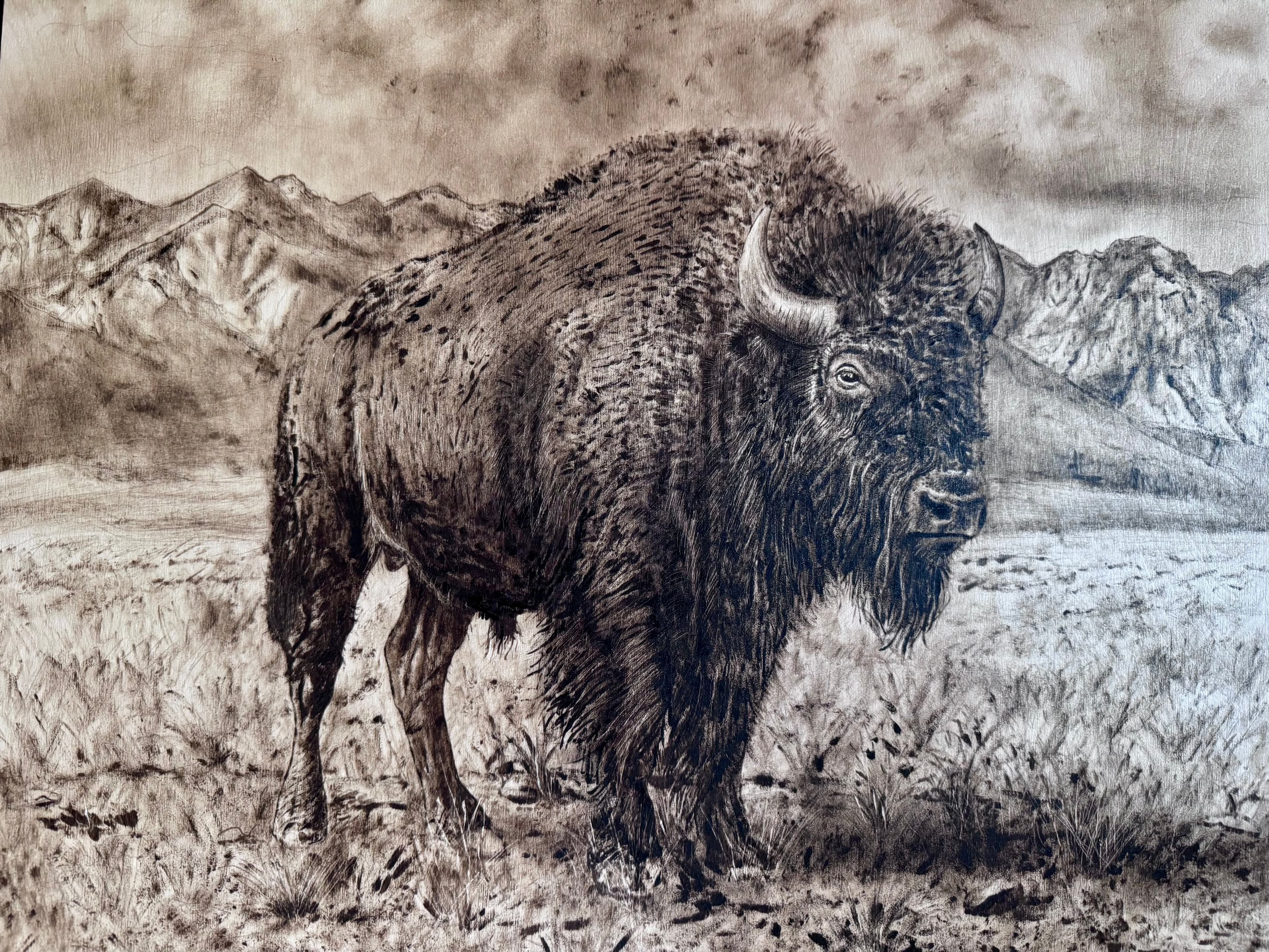 American Bison — wood stain art on Birch plywood, 2026